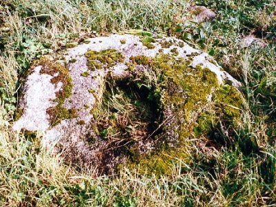 Socket Stone at Browney Cross